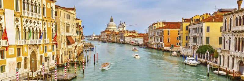 Pastora Moreno banner