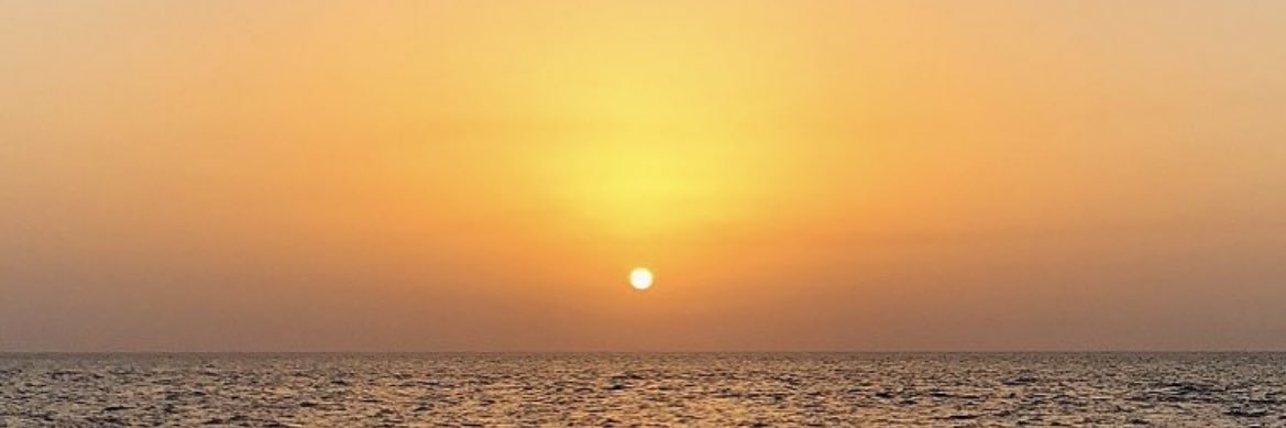SaraaWithoutAnH's profile banner image