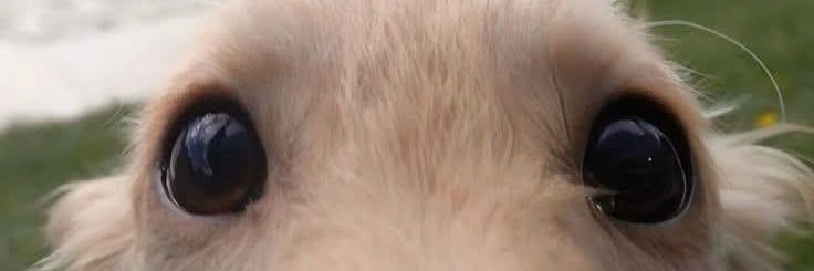 steveofbarnes's profile banner image