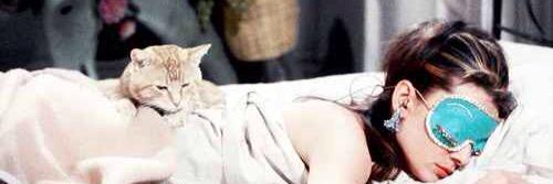 _inzi_'s profile banner image