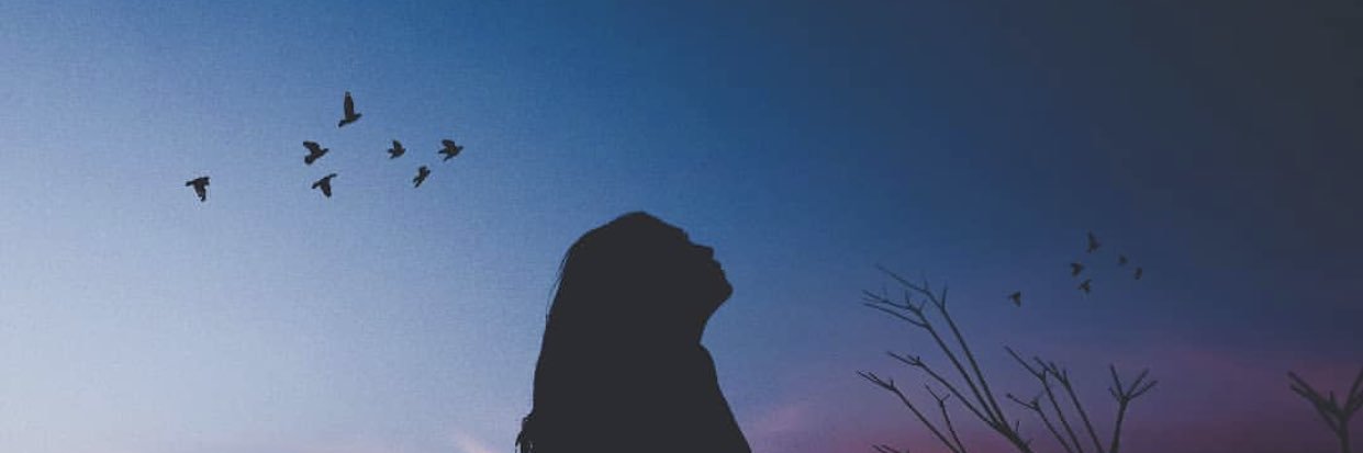 swflantserrick's profile banner image
