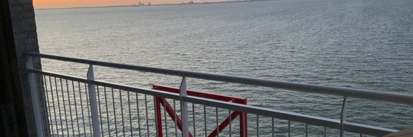 leysfi Profile Banner