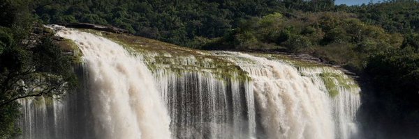 BaldemiroL Profile Banner
