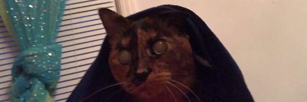 Amielackowski's profile banner image