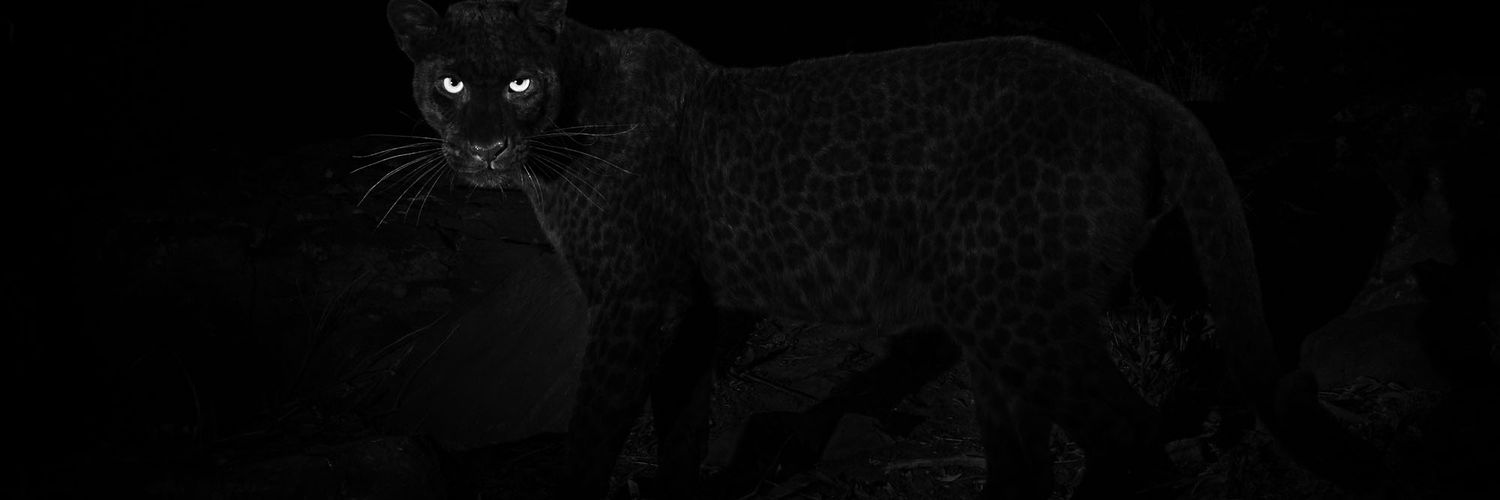Hash22__'s profile banner image
