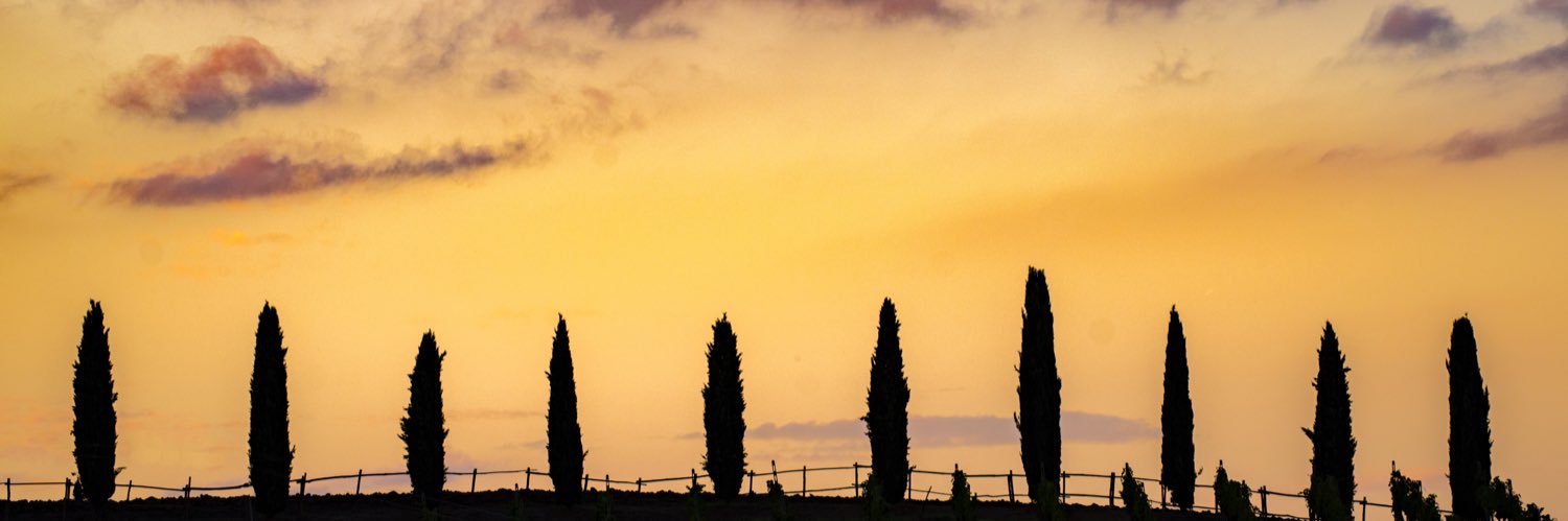 PhillyNavs's profile banner image