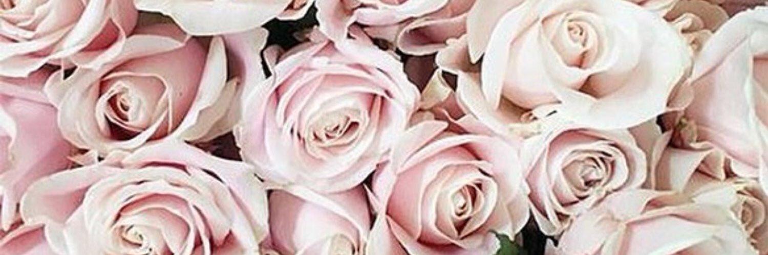 GabriellaSteph8's profile banner image