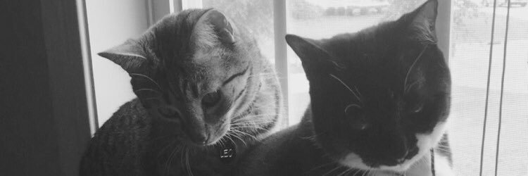 handi_hotchins's profile banner image