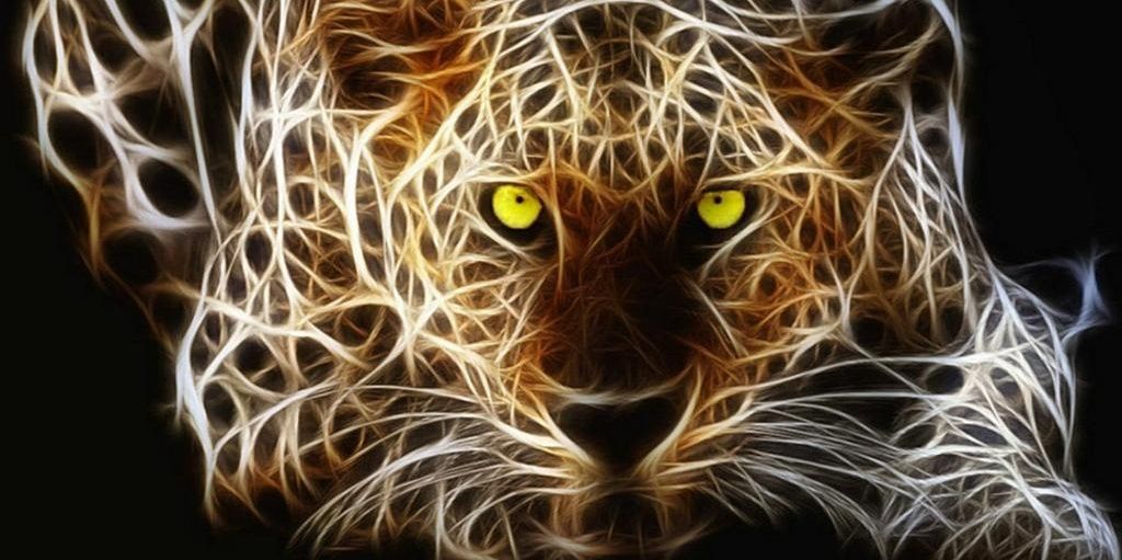 anzalshaah's profile banner image