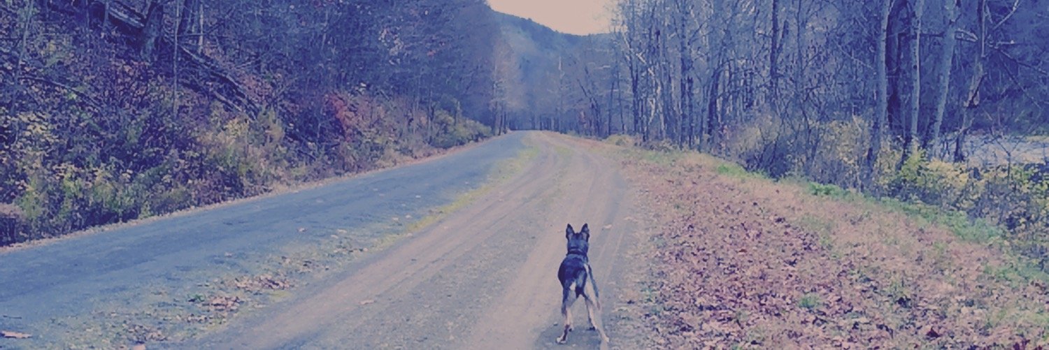 areyn4's profile banner image