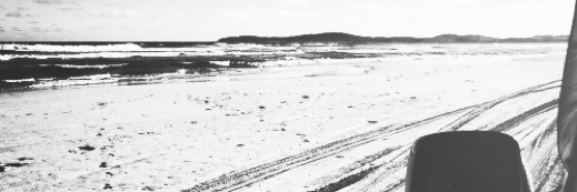 felinalustan's profile banner image