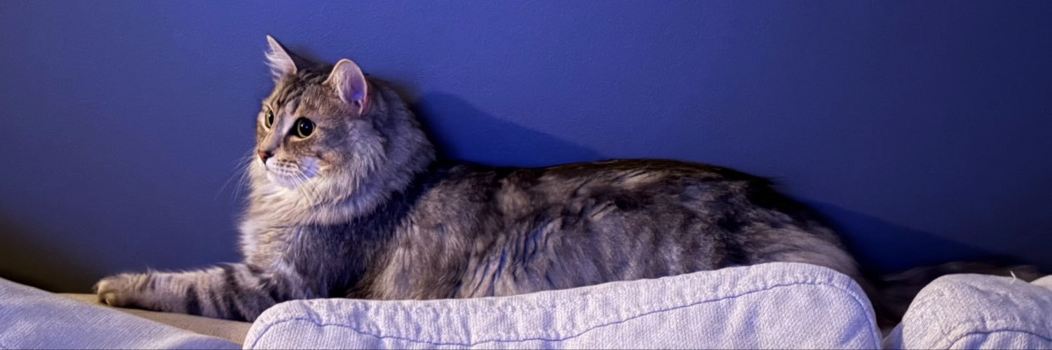 Quinnie_Momma's profile banner image