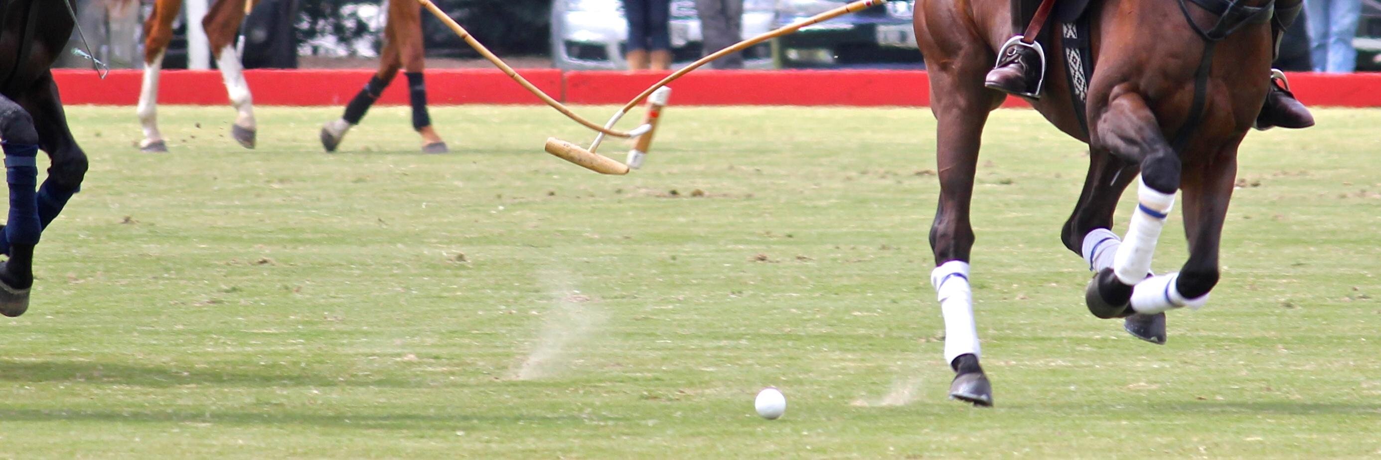 poloplayers's profile banner image