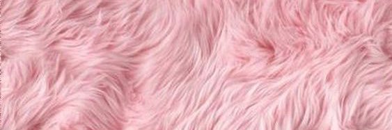 CarlaCastillo98's profile banner image
