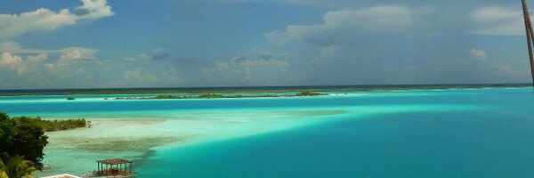 HowellyD Profile Banner