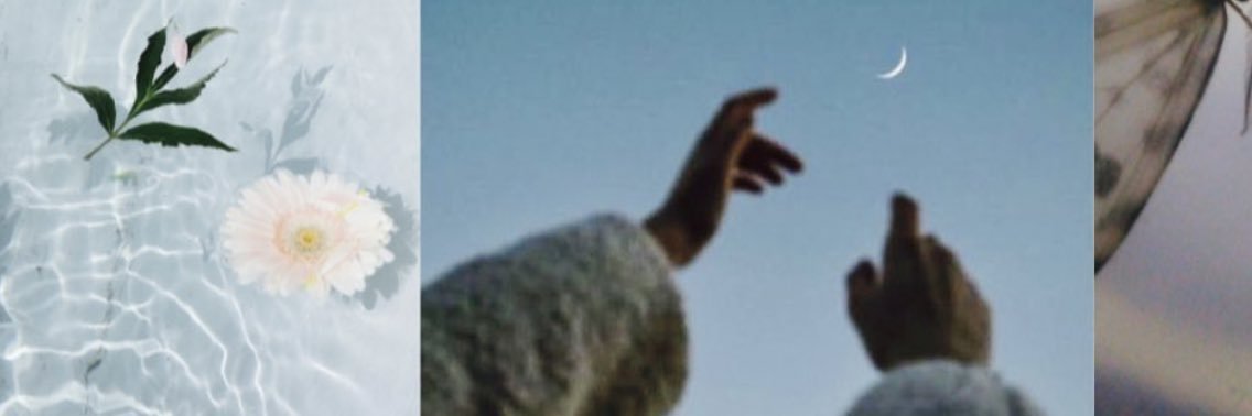 LforLindsey's profile banner image