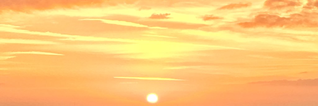kikisharie's profile banner image