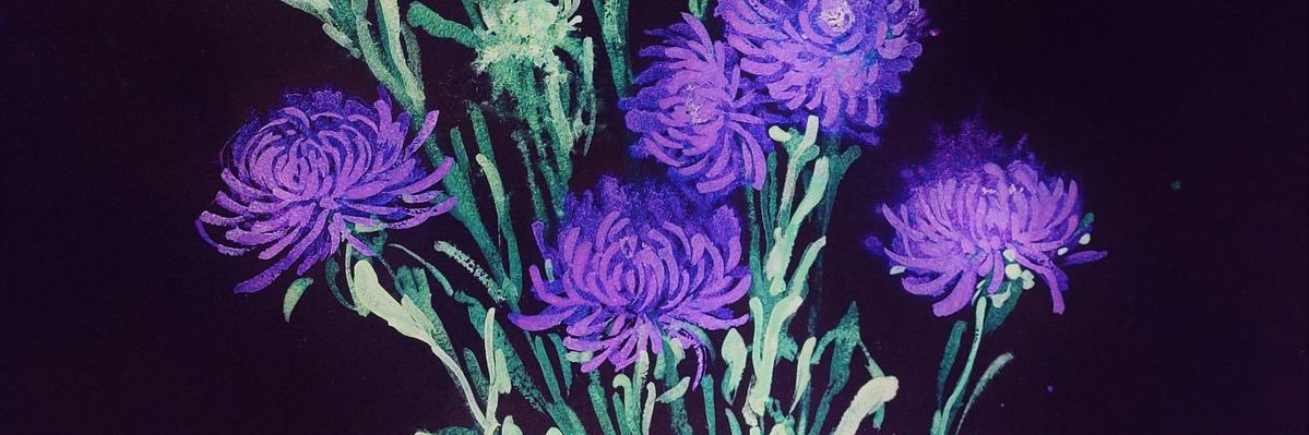 gabipsps's profile banner image
