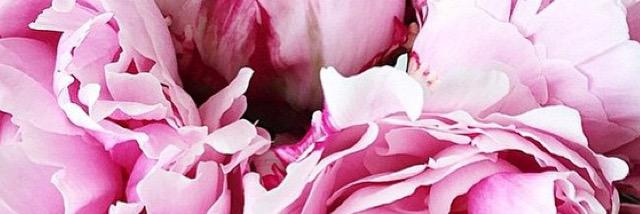 JoanneLabarca's profile banner image
