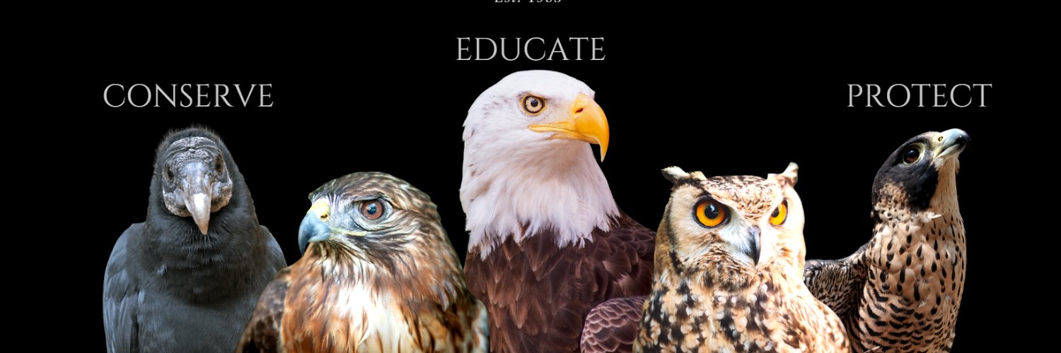 American Eagle Foundation banner