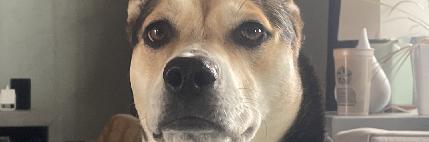 colinduffy0's profile banner image