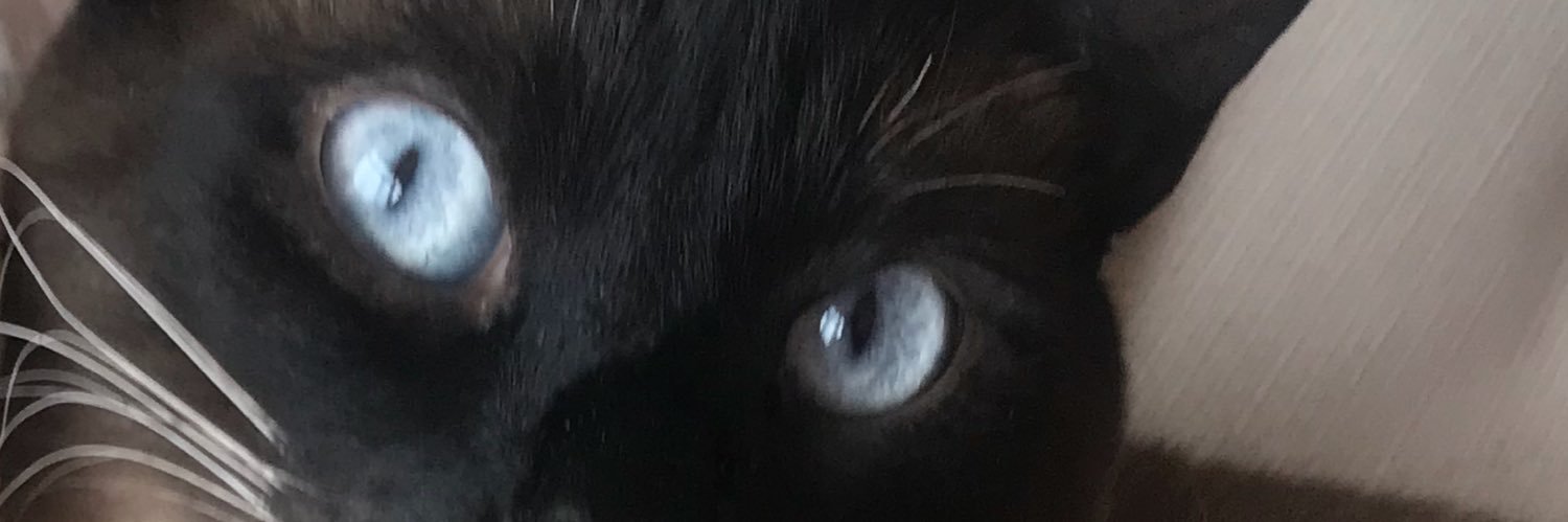 mariaesterpared's profile banner image