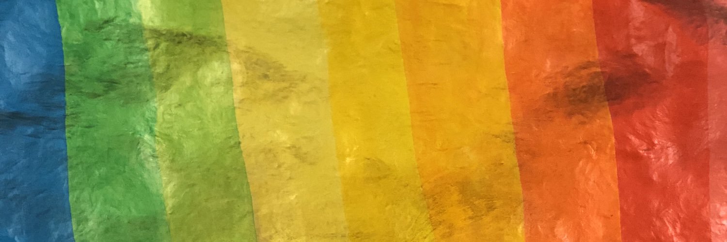 𝗖𝗮𝗿𝗹𝗼𝘀 𝗡𝗮𝘃𝗮𝘀 🏳️‍🌈 banner