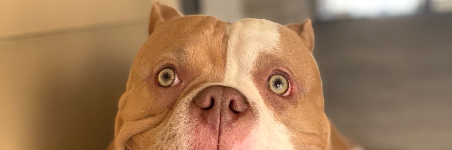 BlockaBri's profile banner image