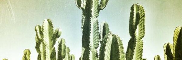 katepascucci Profile Banner