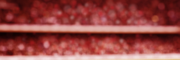 iwcpr Profile Banner