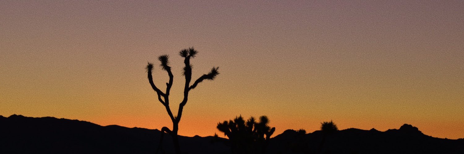 4Morgan44's profile banner image