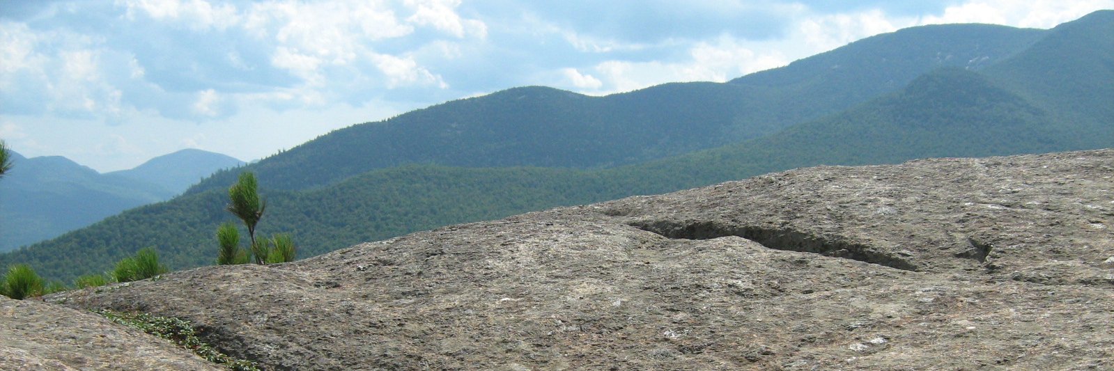 JasmineDemers banner