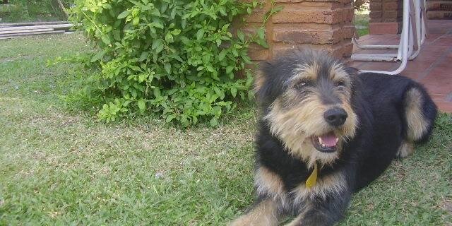 MonoT87's profile banner image