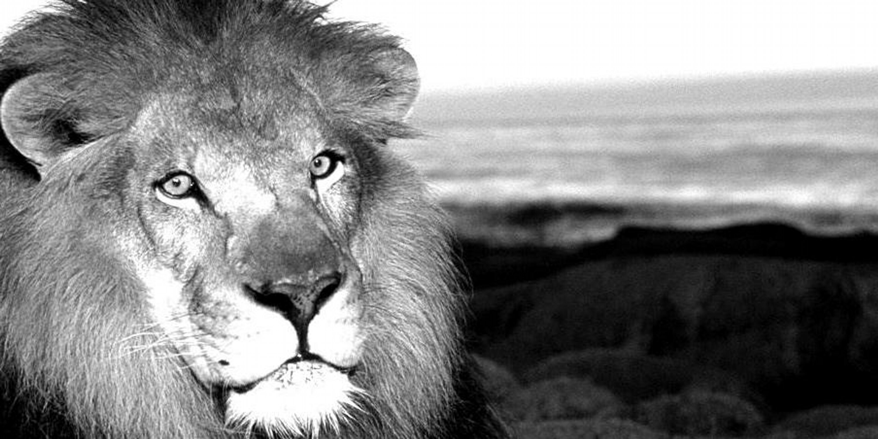 ethan_pack's profile banner image