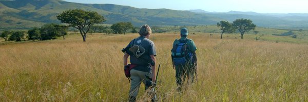 RoanPlotz Profile Banner