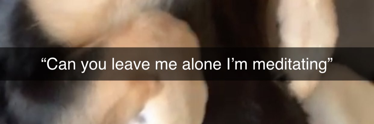 Katilynn720's profile banner image