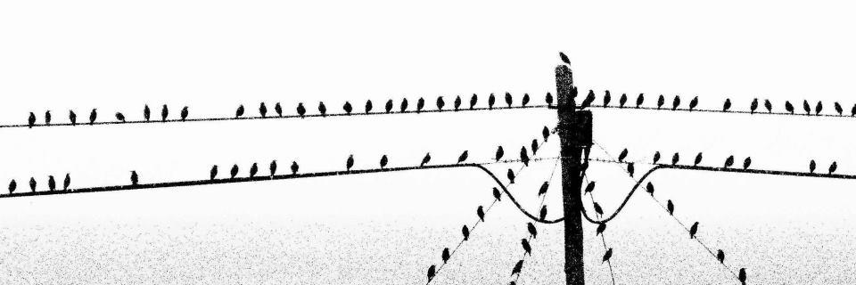 Adéla Karásková Skoupá banner