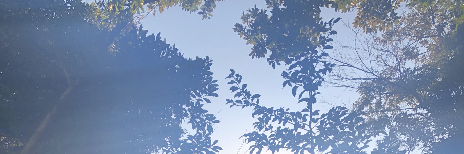 akkko81's profile banner image