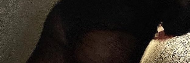 ForeverJustVava's profile banner image