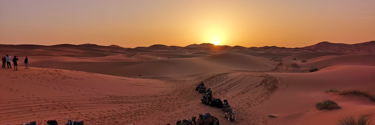 Joao Mendonça banner