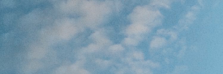 Misster Cat banner