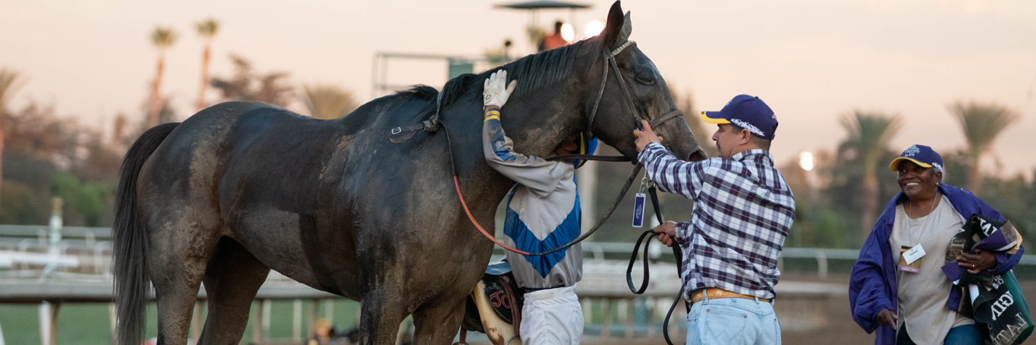 Lady and The Track Profile Banner