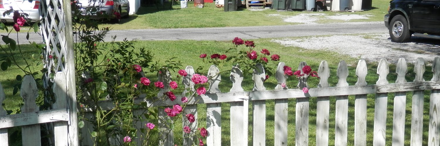 GerryBolding's profile banner image