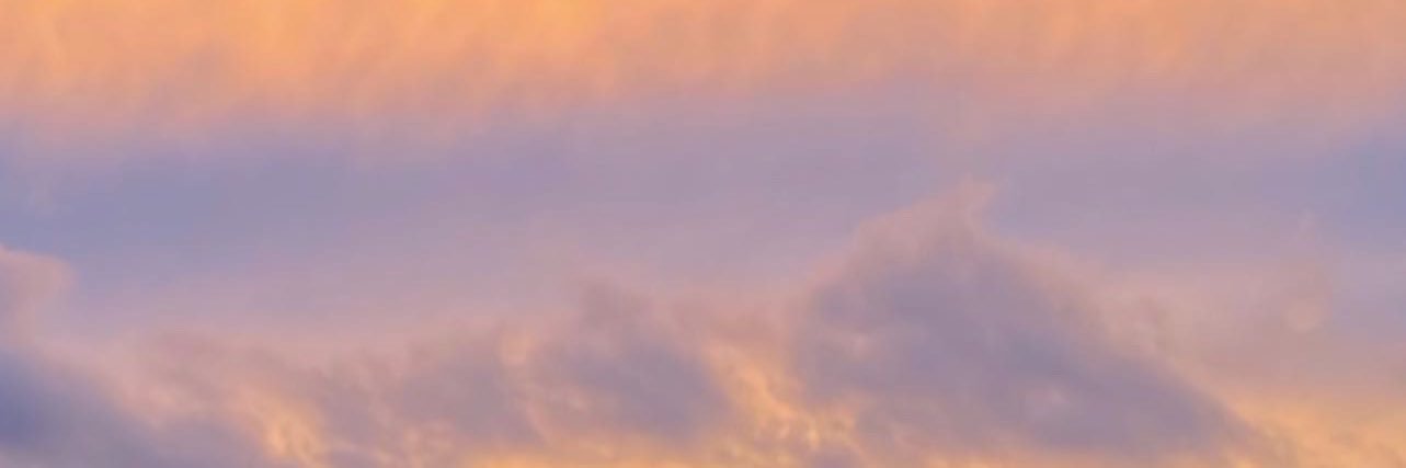 lacedjourn's profile banner image