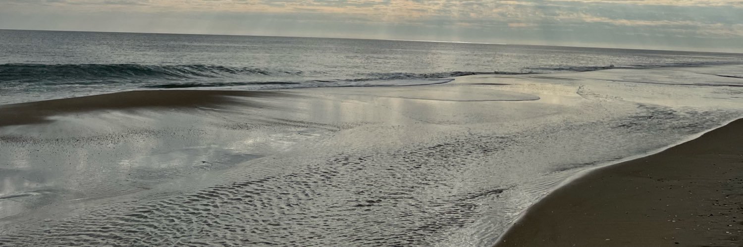 Susan Berke banner