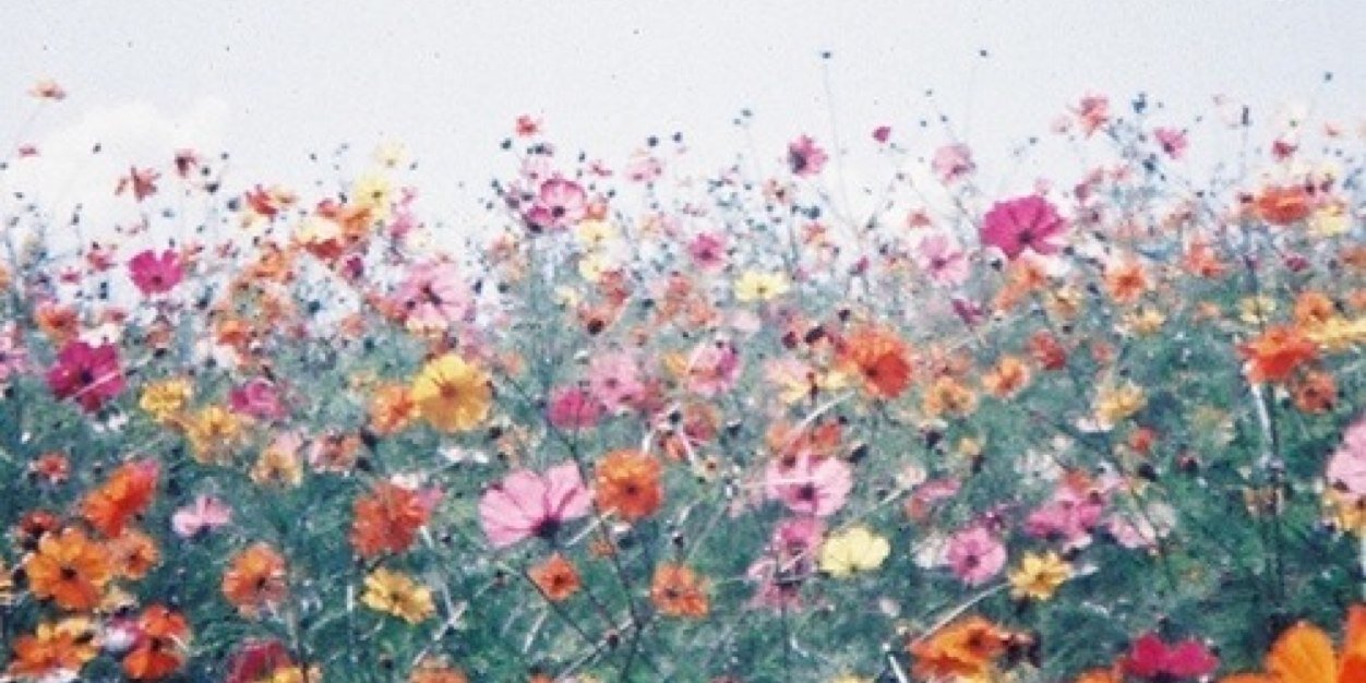 AmandaCBody's profile banner image
