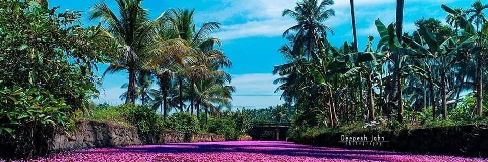 Kaushal_75's profile banner image