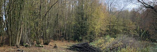 sebastiancoxltd Profile Banner