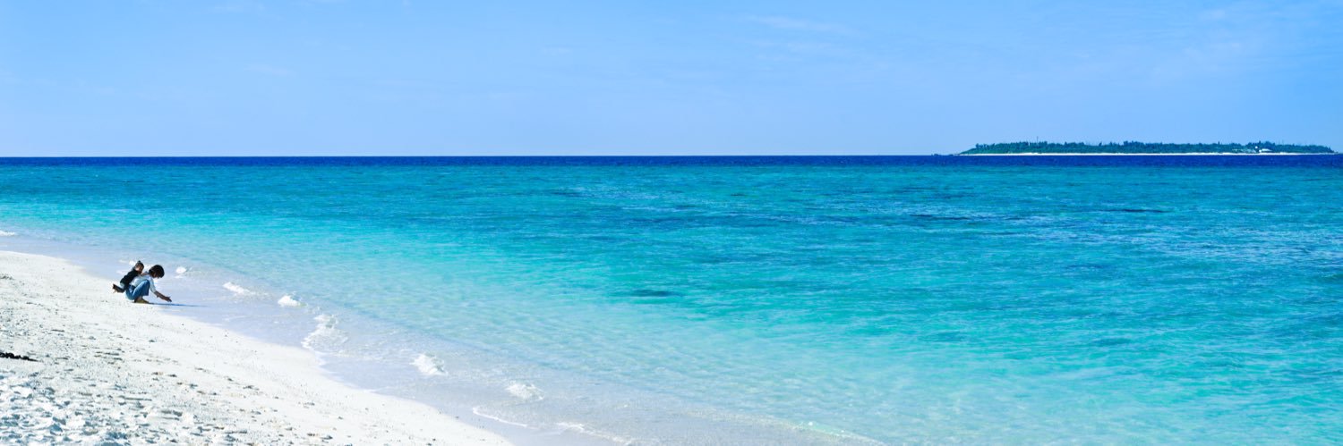 山本哲也 / tetsuya yamamoto banner