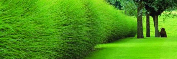J_Rice03's profile banner image